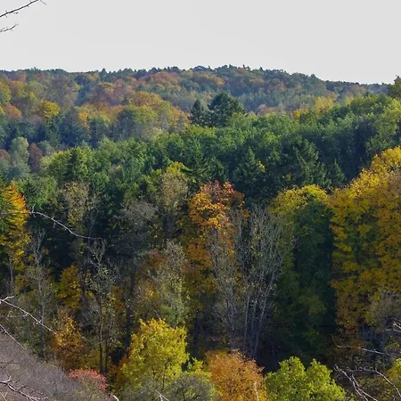 The Hills At River * Czarnkow