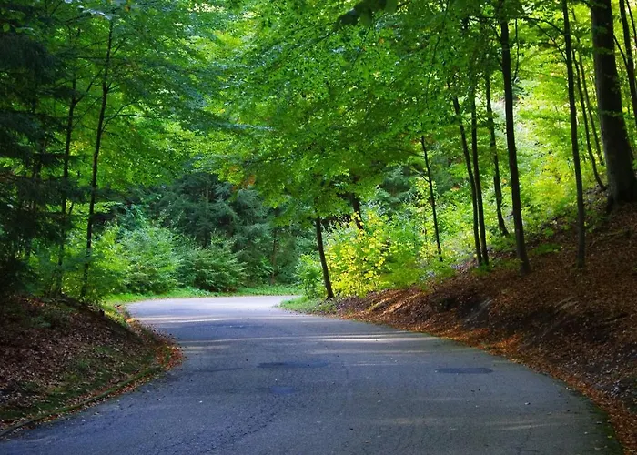 The Hills At River Czarnkow