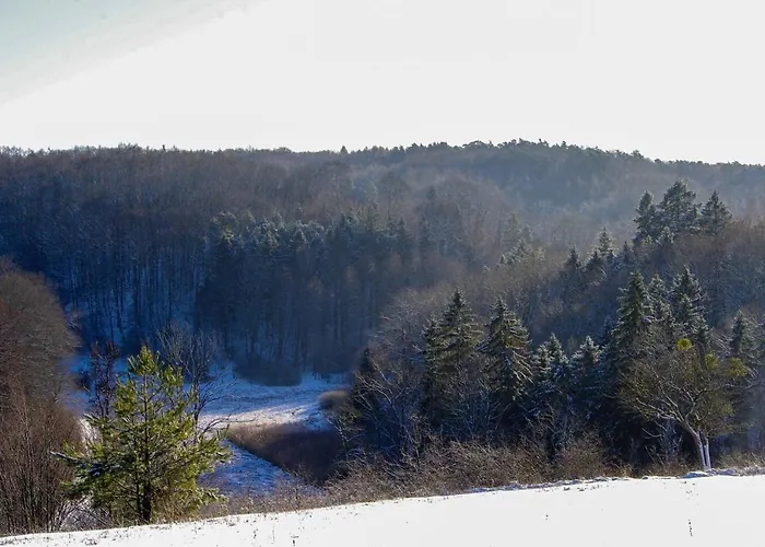 The Hills At River *